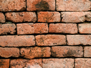 Fototapeta premium Grunge brick wall background textures