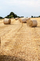 An hay bale