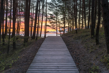 Coastal landscape with pine forest, sand dunes and wooden footpath to beach of the Baltic Sea