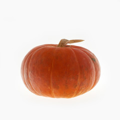 vegetables pumpkin fresh, natural product with no preservatives on a white background, zucchini
