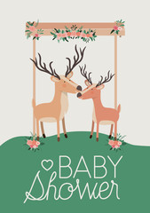 baby shower card with cute reindeer couple vector illustration design
