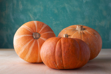 vegetables pumpkin fresh, natural product with no preservatives on a white background, zucchini
