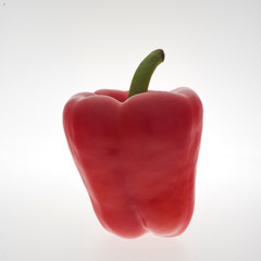 vegetables bell pepper fresh natural product with no preservatives on a white background, zucchini