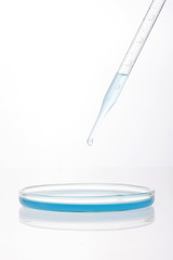 schale with spuit on the white background.