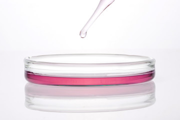 schale with spuit on the white background.