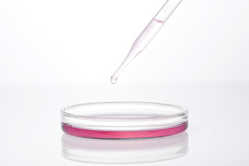 schale with spuit on the white background.