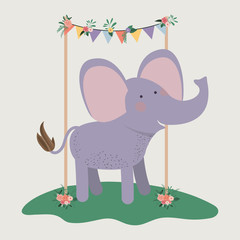 baby shower card with cute elephant vector illustration design