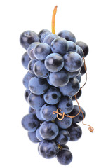 Grapes on a white background