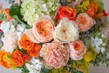 Garden Roses