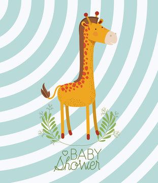 baby shower card with cute jiraffe vector illustration design