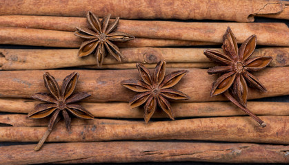 Cinnamon and Star Anise
