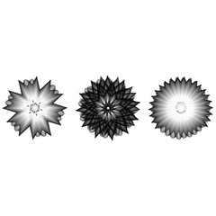 Fototapeta premium Holiday patterns of stars and flowers for gifts ground