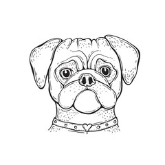 Head Dog pug, hand-painted, portrait. Black and white.