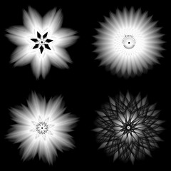 Holiday patterns of stars and flowers for gifts ground