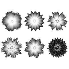 Holiday patterns of stars and flowers for gifts ground