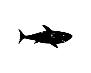 Shark Logo Template