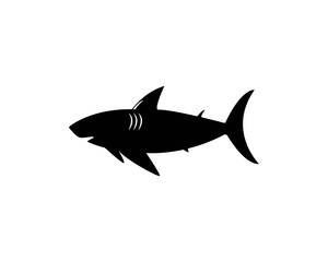shark logo template