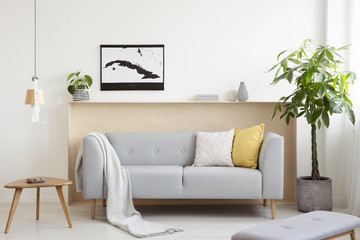 Grey lounge with cushions and blanket standing in real photo of white living room interior with fresh plants, map poster and wooden end table