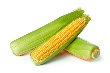 corn isolated on white background