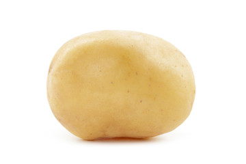 potato isolated on white background