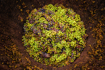 Barrel of Grapes