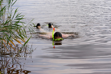 Mann schnorchelt im See