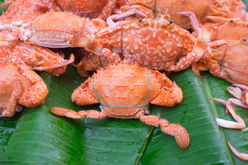 Boiled or steamed sea crab premium grade