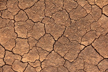 cracked dry brown earth