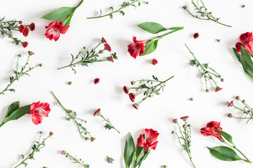 Flowers composition. Pattern made of red flowers on white background. Flat lay, top view, square