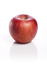 Fototapeta na wymiar fresh apple isolated white.