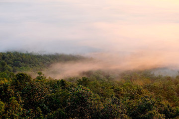 Sunrise at the view point in forest have foggy, Phayao, Thailand.