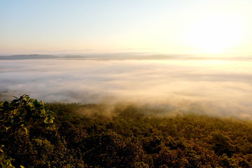 Sunrise at the view point in forest have fog, Phayao, Thailand.