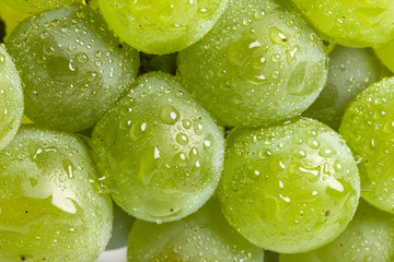 green grapes on the white background.