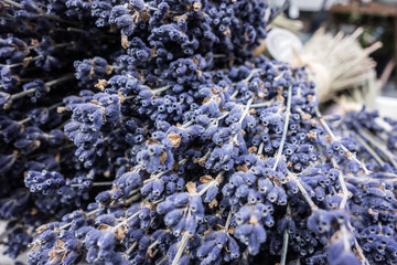 Bouquet of dry blue lavender from France