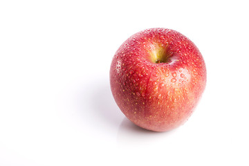 red apple on white background.