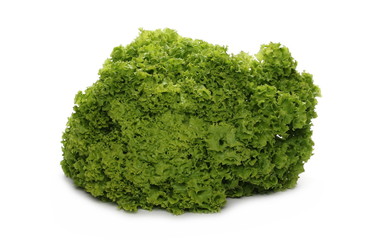 Fototapeta premium Fresh lettuce leaves isolated on white