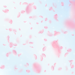 Sakura petals falling down. Romantic pink flowers falling rain. Flying petals on blue sky square bac