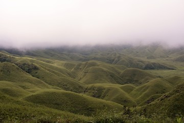 Dzukou Valley, Nagaland, India