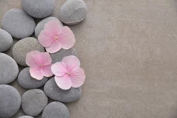 Foto op Plexiglas Drie roze hortensia bloemblaadjes met stapel grijze stenen op grijze achtergrond © Mee Ting