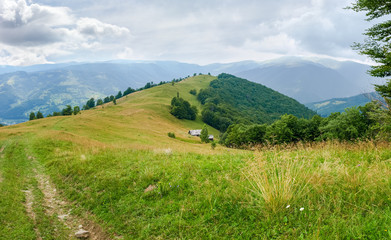 Fototapeta premium Glade on mountain crest with forest on slopes in Carpathians