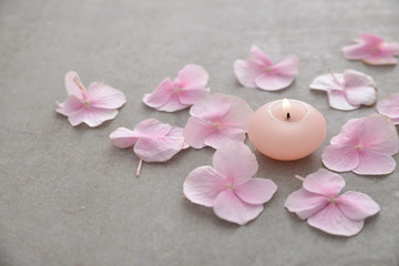 Fototapeta na wymiar Many Pink hydrangea petals with candle on gray background