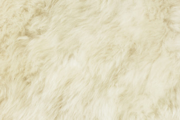 White shaggy natural sheep fur texture for background 
