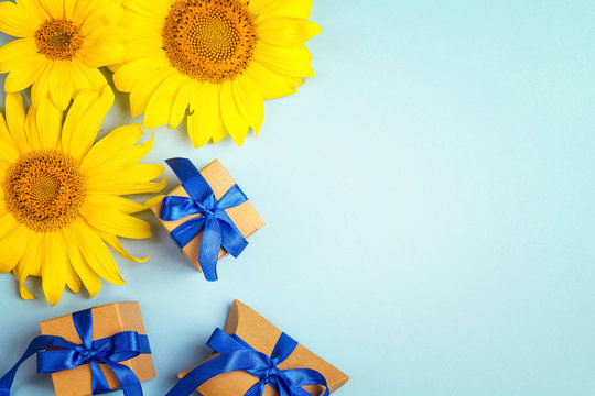 Fototapeta Blue background with a yellow sunflowers and gift boxes with blue ribbons
