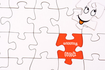 Puzzle pieces with a funny face and the text missing link