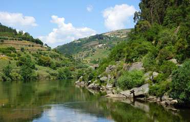 Naklejka na ściany i meble vallée du Douro