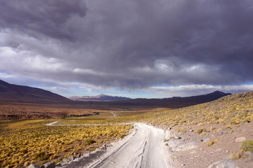 Obraz na płótnie Canvas Route dans le désert