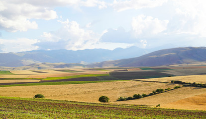 Fototapeta premium Panoramic background of beautiful yellow-green fields with blue sky and clouds - sunny day in Kahramanmaras, Turkey.