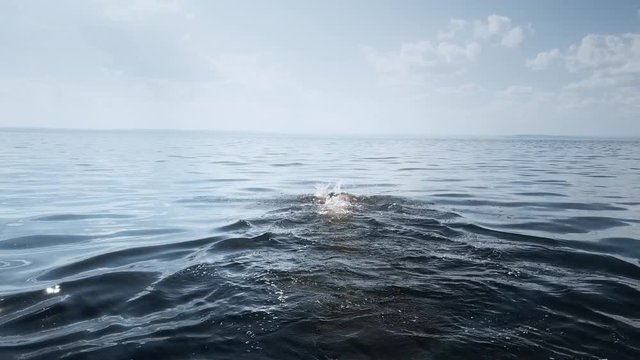 Open water swimmer athlete. Swimming.