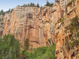 Canyon Cliffs on the Kaibab Trail