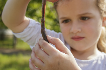 Little Girl Holding and Inspecting a Brown Earthworm Version 2
